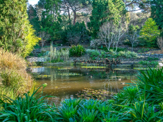 塔斯马尼亚皇家植物园