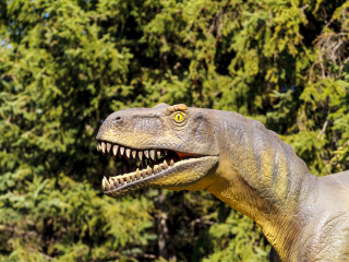 卡尔加里动物园