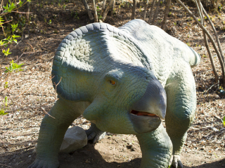 卡尔加里动物园