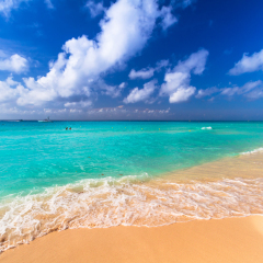 Beach at Caribbean sea in Playa del Carmen, Mexico