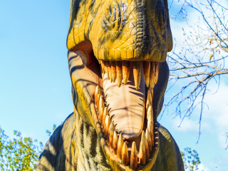 卡尔加里动物园