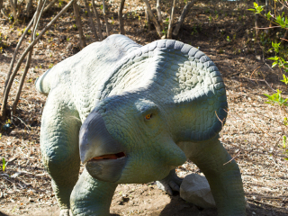 卡尔加里动物园