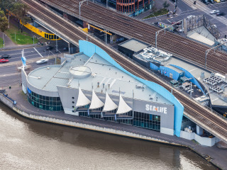 墨尔本海洋生物水族馆