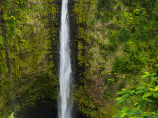 夏威夷大岛热带雨林瀑布
