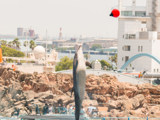 名古屋港水族馆