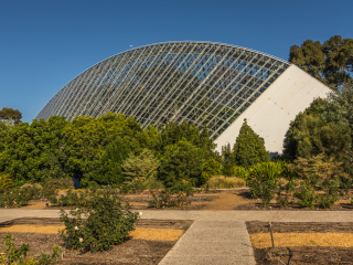 阿德莱德植物园