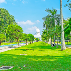 The walk along the shady alley of Viharamahadevi park, former Victoria Park, with a view on white dome of Town Hall, Colombo, Sri Lanka.
