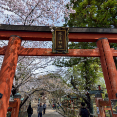 NARA,JAPAN - APRIL 5 : Himuro shrine was an icehouse dedicated to the deity. Ice in the icehouse was offered to the imperial court annually . On 5 April 2014  in Nara , Japan.