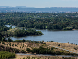 堪培拉国家植物园