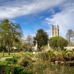 Oxford, UK - 30 April 2016: Pond and plantation at University of Oxford Botanic gardens5