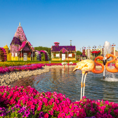 DUBAI, UAE - NOVEMBER 24 : Dubai miracle garden with over 45 million flowers in a sunny day on November 24, 2015, United Arab Emirates