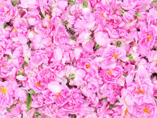 保加利亚飞碟纪念碑