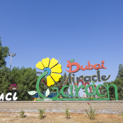 DUBAI, UAE - NOV 27, 2016: The Miracle Garden in Dubai. United Arab Emirates, Middle East