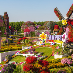 DUBAI, UAE - NOVEMBER 24 : Dubai miracle garden with over 45 million flowers in a sunny day on November 24, 2015, United Arab Emirates