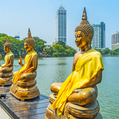 Beira lake is the perfect place to relax in shade of trees, enjoy the fresh breeze and visit Seema Malaka Temple with its scenic golden statues of Buddha, Colombo, Sri Lanka.