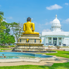 The golden statue of Meditating Lord Buddha located opposite the white colonial-era building of Town Hall, Colombo, Sri Lanka.