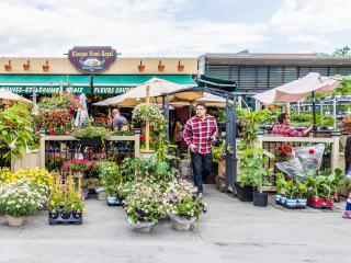 蒙特利尔旧城区