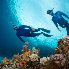 Two free divers swimming over vivid coral reef in the Red Sea. Egypt