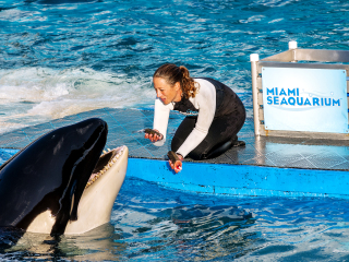 迈阿密水族馆