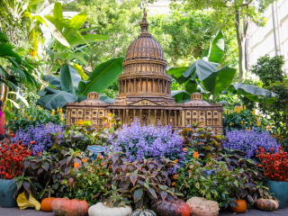 美国国家植物园