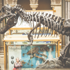 OXFORD - UK, MAY 26: Famous Oxford University Museum of Natural History, is a museum displaying many of the University of Oxford's natural history specimens, located on Parks Road in Oxford, England.