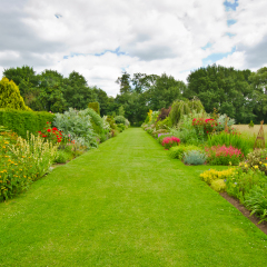 English country garden