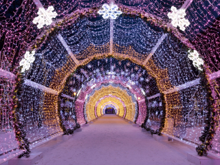 莫斯科特维尔大街