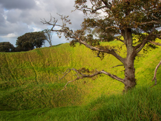 奥克兰火山锥