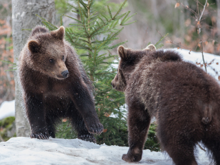 克拉克湖国家公园