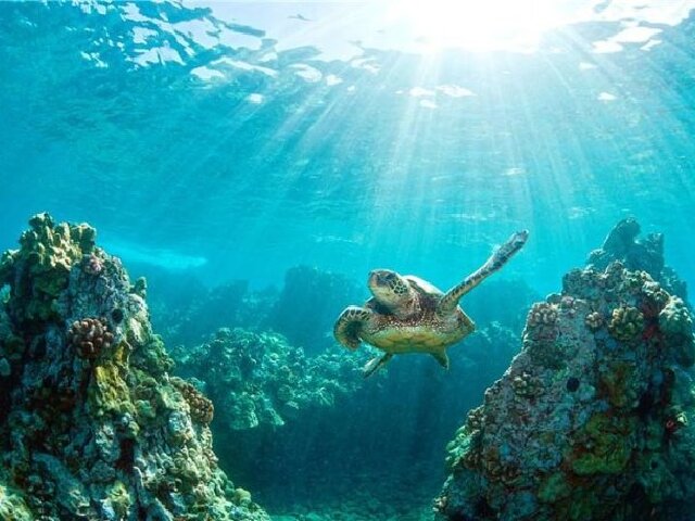 北京直飞巴厘岛7天5晚 5晚连住agoda国际四星