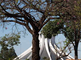 巴西利亚大教堂