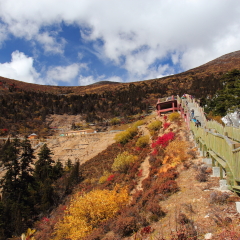 Lulanglinhai,Nyingchi,Tibet,China:Lulanglinhai Landscape