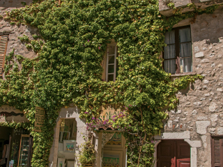 普罗旺斯圣保罗