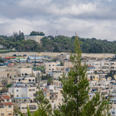 View from David's city