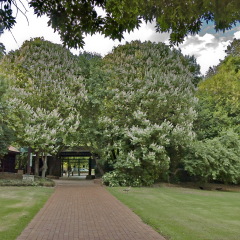 Johannesburg, South Africa - 11 November, 2011: Emmarentia park, 
Johannesburg Botanical Garden in Emmarentia park - Entrance,