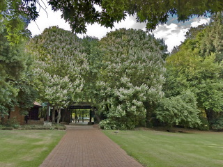 约翰内斯堡植物园