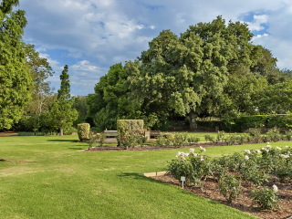 约翰内斯堡植物园