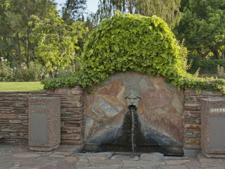 约翰内斯堡植物园