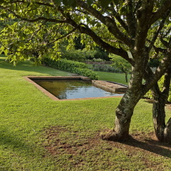 Johannesburg, South Africa - 11 November, 2011: Emmarentia park, Fragment of rosarium with pond in Johannesburg Botanical Garden