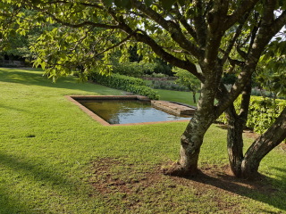 约翰内斯堡植物园