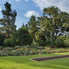 Johannesburg, South Africa - 11 November, 2011: Emmarentia park,  Fragment of rosarium with pond in Johannesburg Botanical Garden