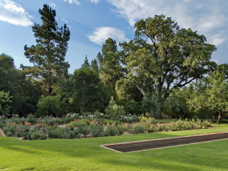 约翰内斯堡植物园