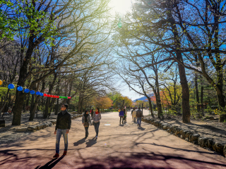 俗离山国立公园