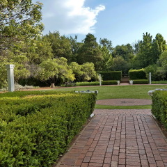 Johannesburg, South Africa - 11 November, 2011: Emmarentia park, Johannesburg Botanical Garden in Emmarentia park 