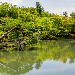 Zen Garden of Tenryu-ji, Heavenly Dragon Temple. In Kyoto, Japan