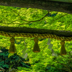 Zen Garden of Tenryu-ji, Heavenly Dragon Temple. In Kyoto, Japan