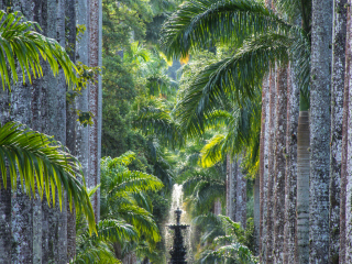 里约植物园