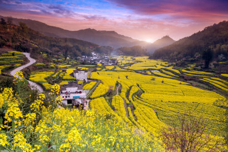 <婺源-瓷都景德镇双卧4日游>抖音网红景区，婺里看花，篁岭冰雪馆门票，1早2正餐，欢乐颂2拍摄地，梦里老家婺源，赏徽派建筑