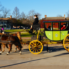 Horse and carriage in Williamsburg colonial town in Virginia in the United States of America