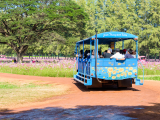 吉姆汤普森之家